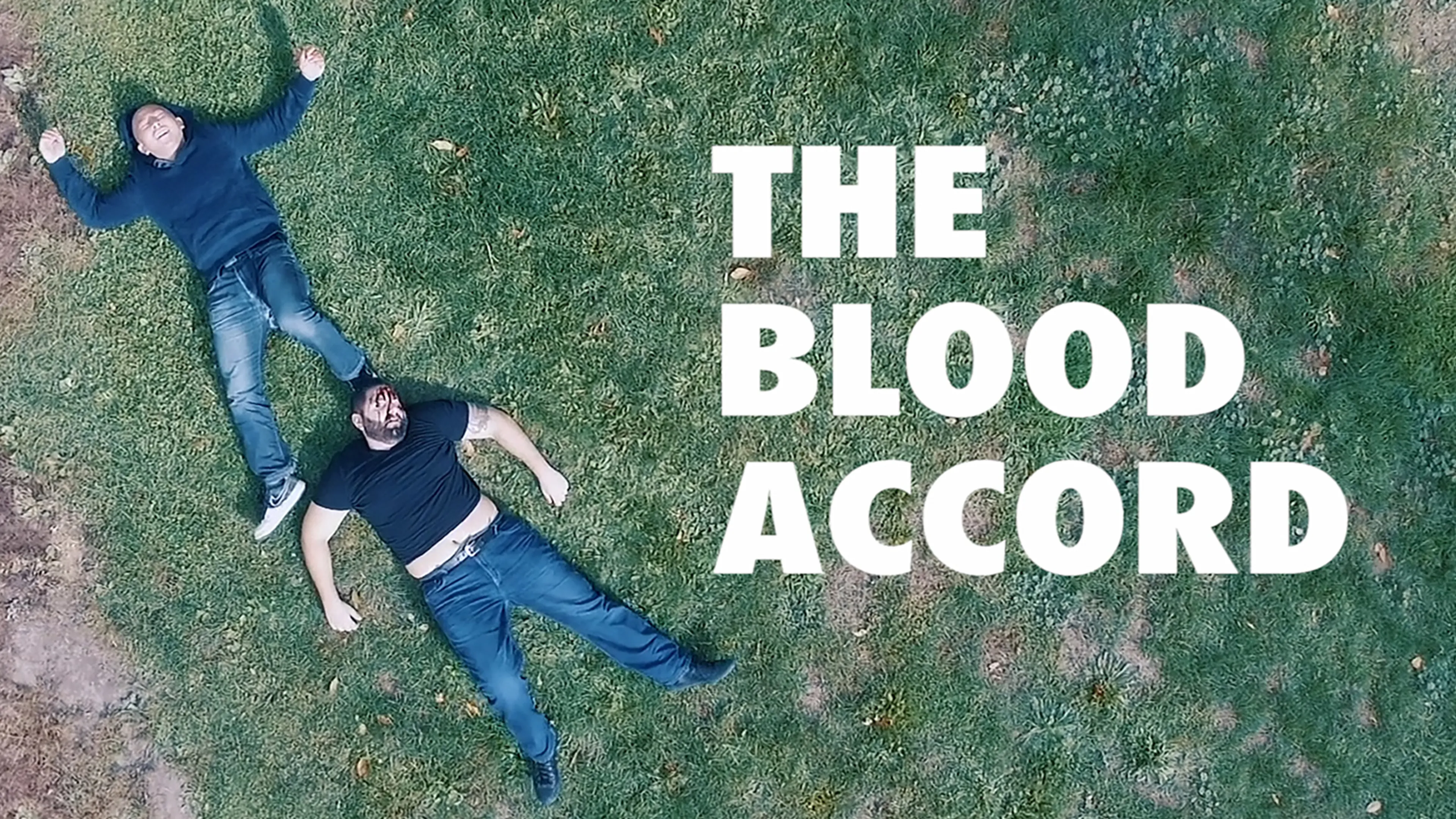The Blood Accord poster